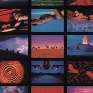 Meet your Posher, Dane